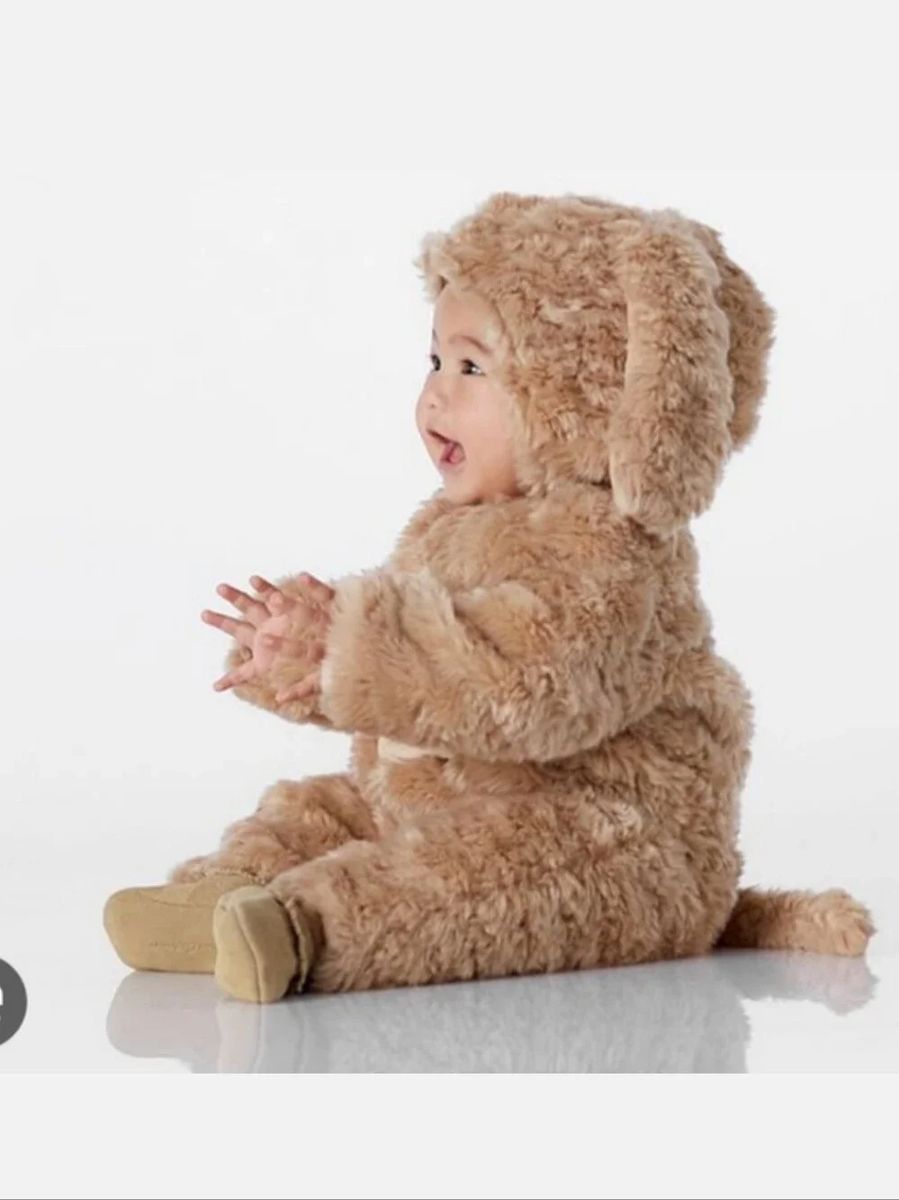 Pottery Barn Kids Baby Dog Costume Size 0-6 months NWT